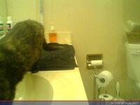 1089: misspris-2022-06-15_18.35.39_MST.jpg