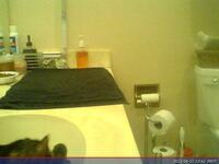 1093: misspris-2022-06-17_23.42.21_MST.jpg