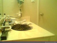 535: misspris-2022-06-26_15.24.06_MST.jpg