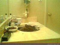 737: misspris-2022-06-27_18.22.06_MST.jpg