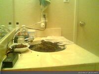 740: misspris-2022-06-27_18.25.12_MST.jpg