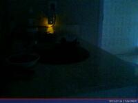 677: misspris-2022-07-14_17.04.05_MST.jpg