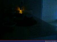 679: misspris-2022-07-14_17.06.09_MST.jpg