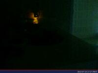 690: misspris-2022-07-14_17.17.26_MST.jpg