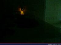 723: misspris-2022-07-14_17.51.16_MST.jpg