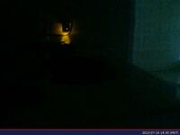 761: misspris-2022-07-14_18.30.12_MST.jpg