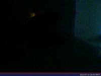 774: misspris-2022-07-14_18.43.32_MST.jpg