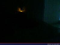 788: misspris-2022-07-14_19.00.57_MST.jpg