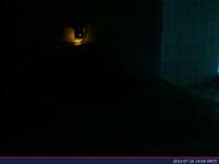 791: misspris-2022-07-14_19.04.22_MST.jpg