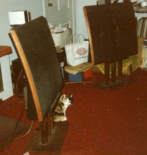 Quad ESL speakers and Evelyn - (cat)