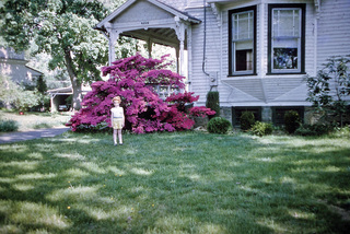 Philip E. Rosenberg slides --