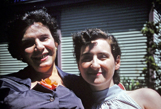 Philip E. Rosenberg slides -- two Volkswagon beetles