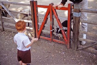 Philip E. Rosenberg slides -- Betsy