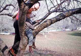 Philip E. Rosenberg slides -- zoo - Elephant