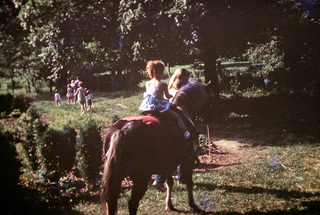 Philip E. Rosenberg slides --