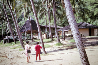 Philip E. Rosenberg slides -- Hawaii - tortoise
