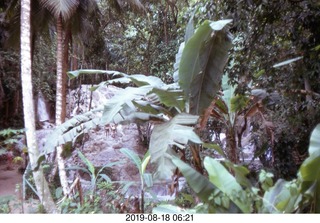 Philip E. Rosenberg slides -- Jamaica