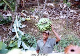 Philip E. Rosenberg slides -- Jamaica - bananas