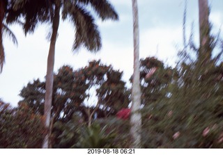 Philip E. Rosenberg slides -- Jamaica