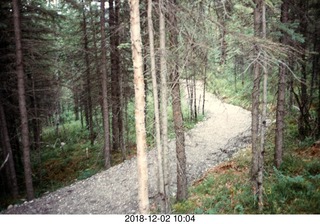 Alaska trip - morning run
