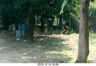 IIT Madras