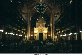 Bratislava, Slovakia - Maria Hlavacova