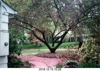 Triathlon Olympic Trials