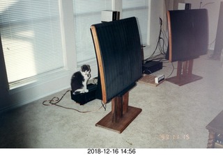 Jack on my Eagle amp + Quad ESL speakers