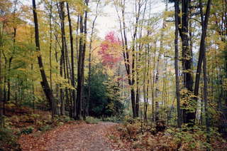 WARR, trail in Gatineau