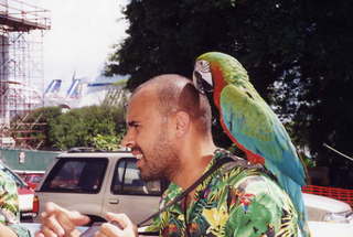 Philip E. Rosenberg slides -- Hawaii - flamingo birds`