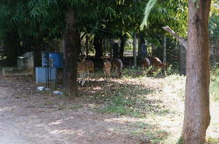 India - Madras - IIT - Satish