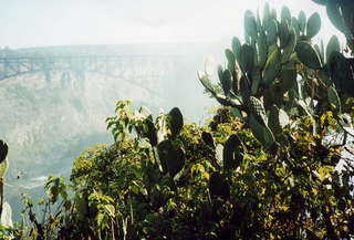 NYC Brooklyn Bridge wires