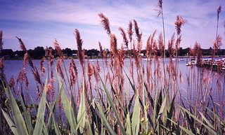 Jeff's park in Red Bank 5