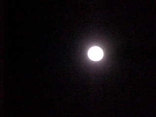 Full moon