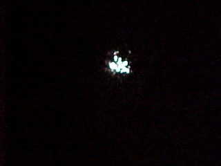 Full moon behind trees