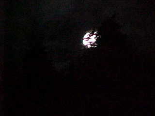 Full moon