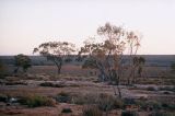 Woomera, Outback after sunrise