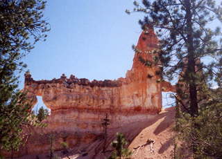 Bryce Canyon tower bridge area (B)