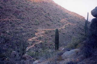 Pinnacle Peak
