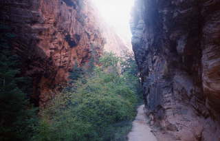 Zion National Park on the way to Angel's Landing 6
