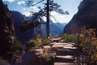 Zion National Park on the way to Angel's Landing 2