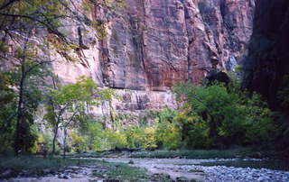 Zion National Park, Virgin River
