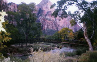 Virgin River in Arizona
