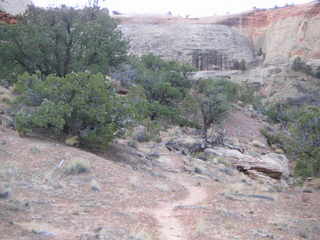 Canyonlands National Park - Neck Spring
