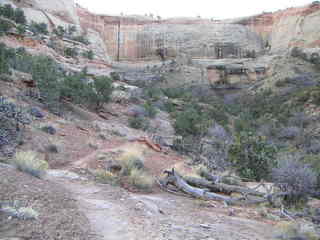 Canyonlands National Park - Neck Spring