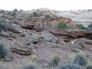 Canyonlands National Park - Neck Spring