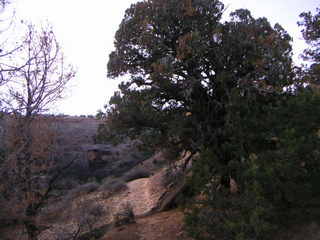 Canyonlands National Park - Neck Spring