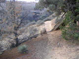 Canyonlands National Park - Neck Spring