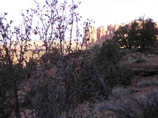 Canyonlands National Park - Neck Spring