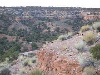 Canyonlands National Park - Neck Spring
